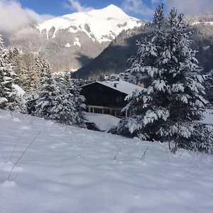 Chalet-hotel Starlight Hotel